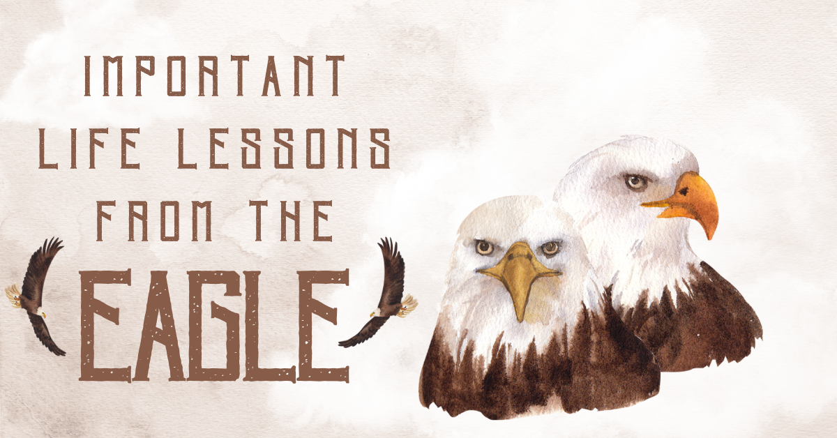 10 Powerful Life Lessons From The Eagle